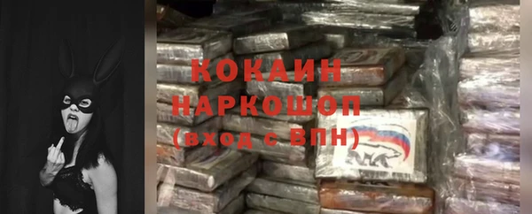 apvp Алексин