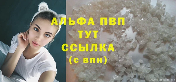 винт Алзамай