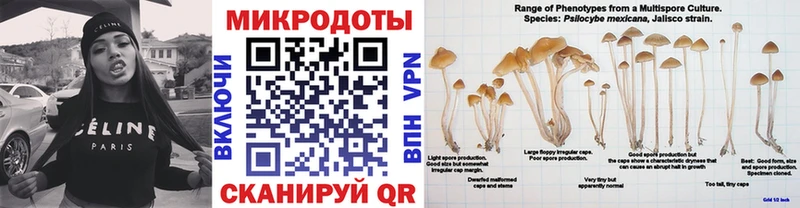Галлюциногенные грибы Magic Shrooms  Амурск 